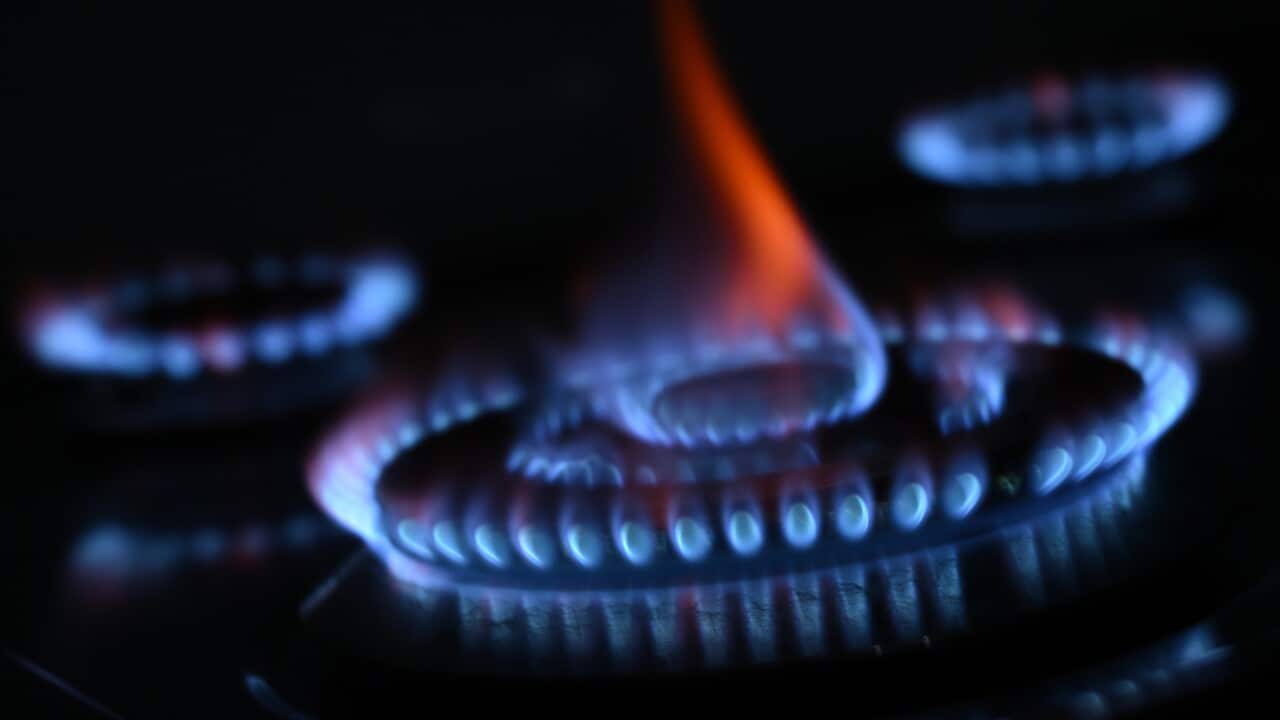 A close up photo of a gas cooktop. A large burner in the centre of the frame burns blue with a red flame at its crown. Two more burners in the rear of the image are slightly out of focus.