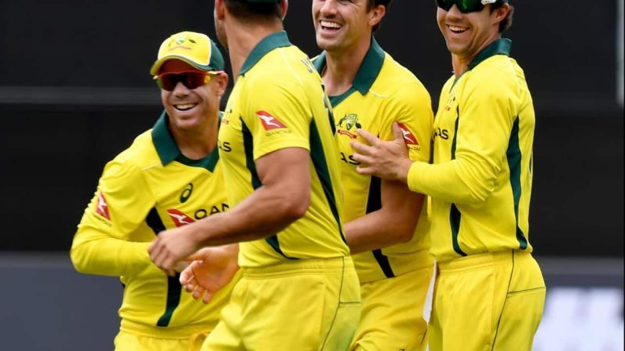 Pat Cummins celebrates with teammates.