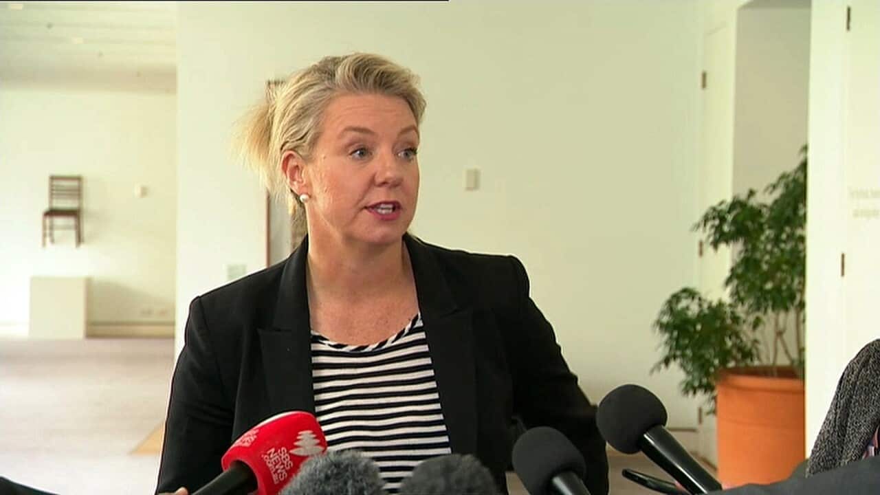 Bridget McKenzie talks to media at Parliament