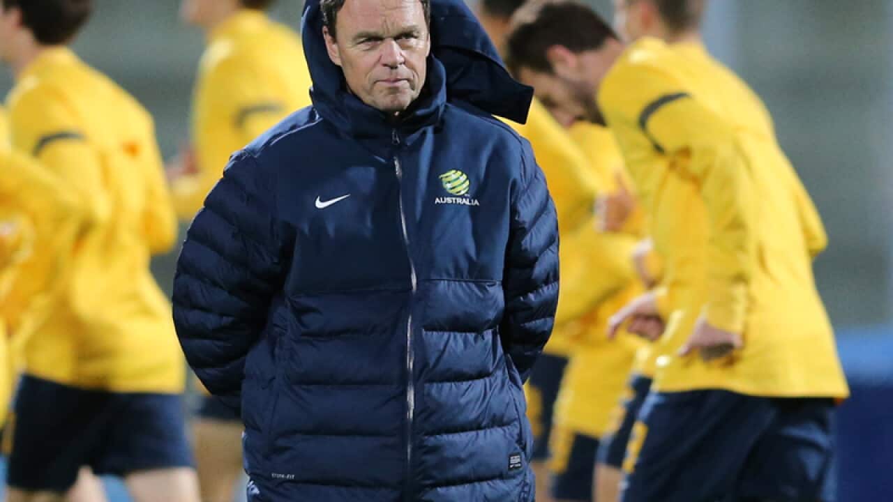 Socceroos coach Holger Osieck
