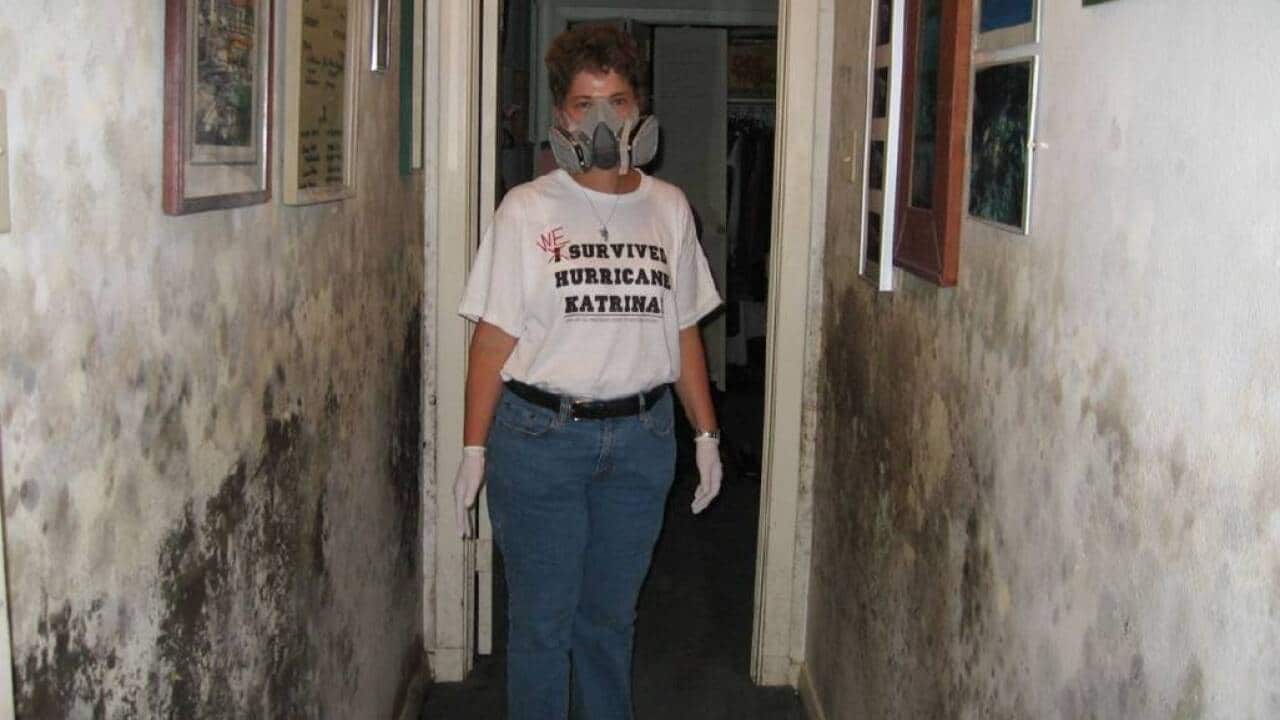 家中有地方或衣物發霉又是否可以挽救?