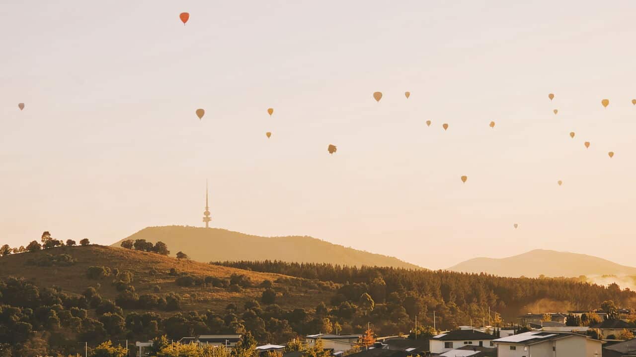 Hot air balloons during sunrise in Canberra.