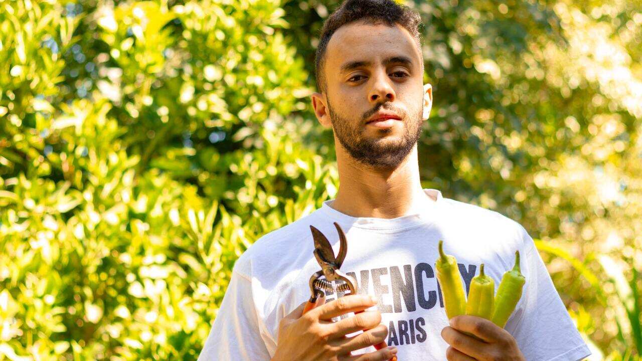 Fiber and from which foods we can get it.