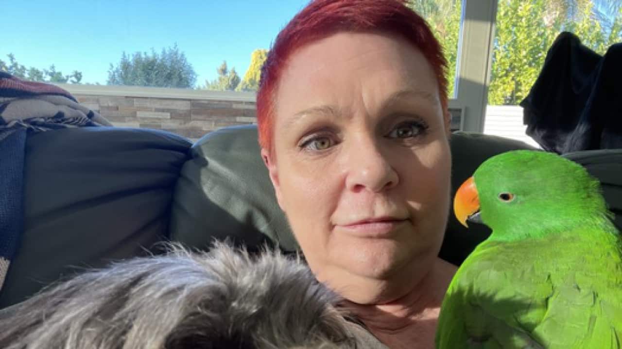 A woman sitting on a couch with a dog and a bright green bird.