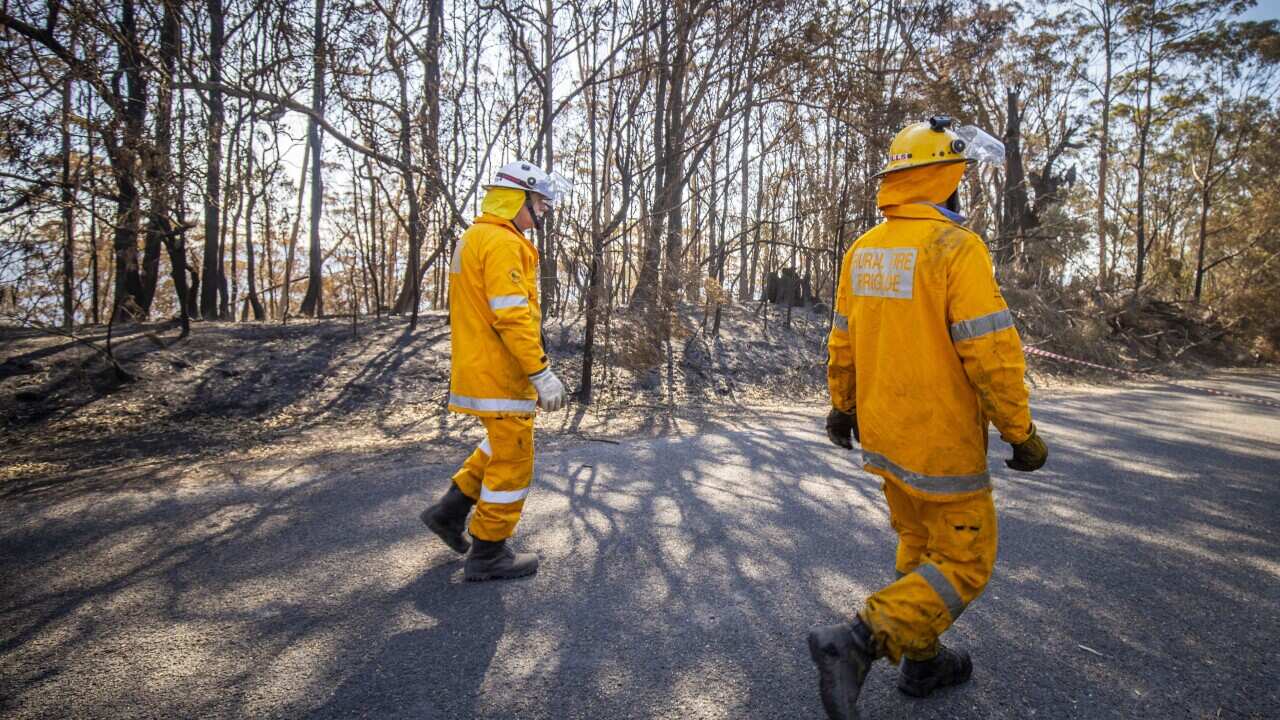 Members of the Queensland Fire Brigade put out spot fires at Binna Burra Road, Beechmont where ten homes were lost to the fires.