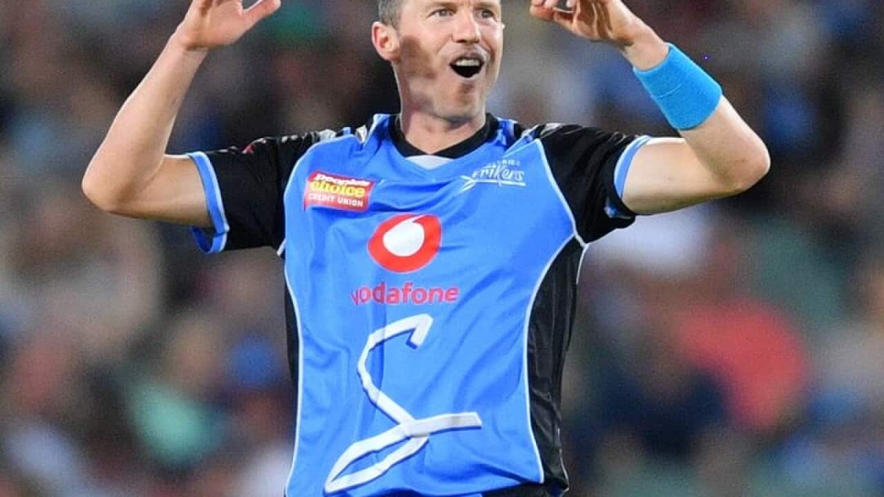 Adelaide Strikers star Peter Siddle