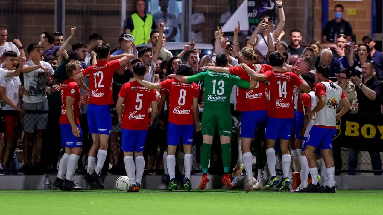 Woodville White City players celebrate with their fans, football, Adelaide, Serbian community, Serbia, Beograd, Belgrade