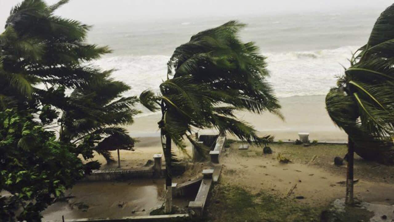 Trees are lashed by strong winds in Sambava, Madagascar
