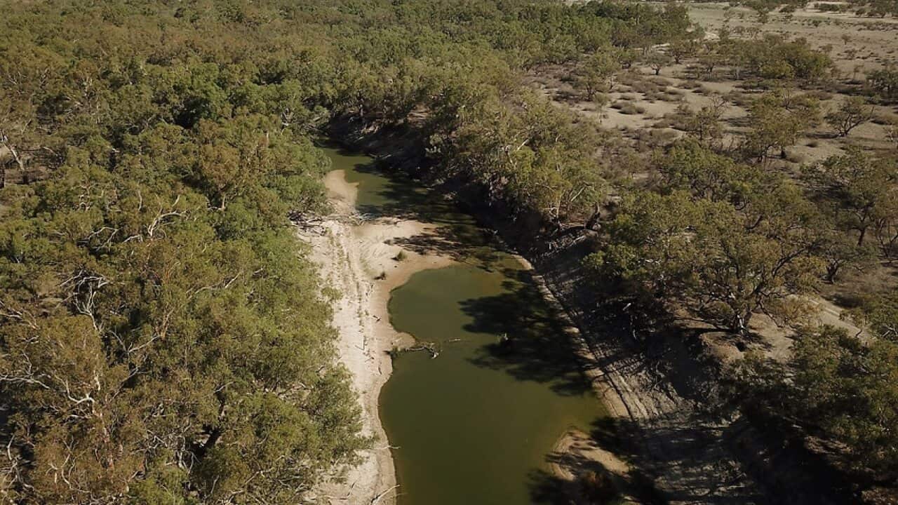 Image for read more article ''