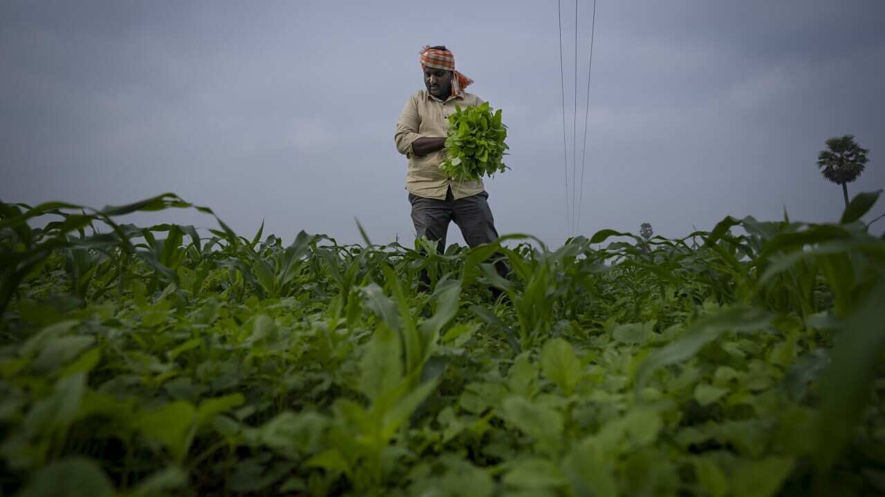 Climate Resilient Farming