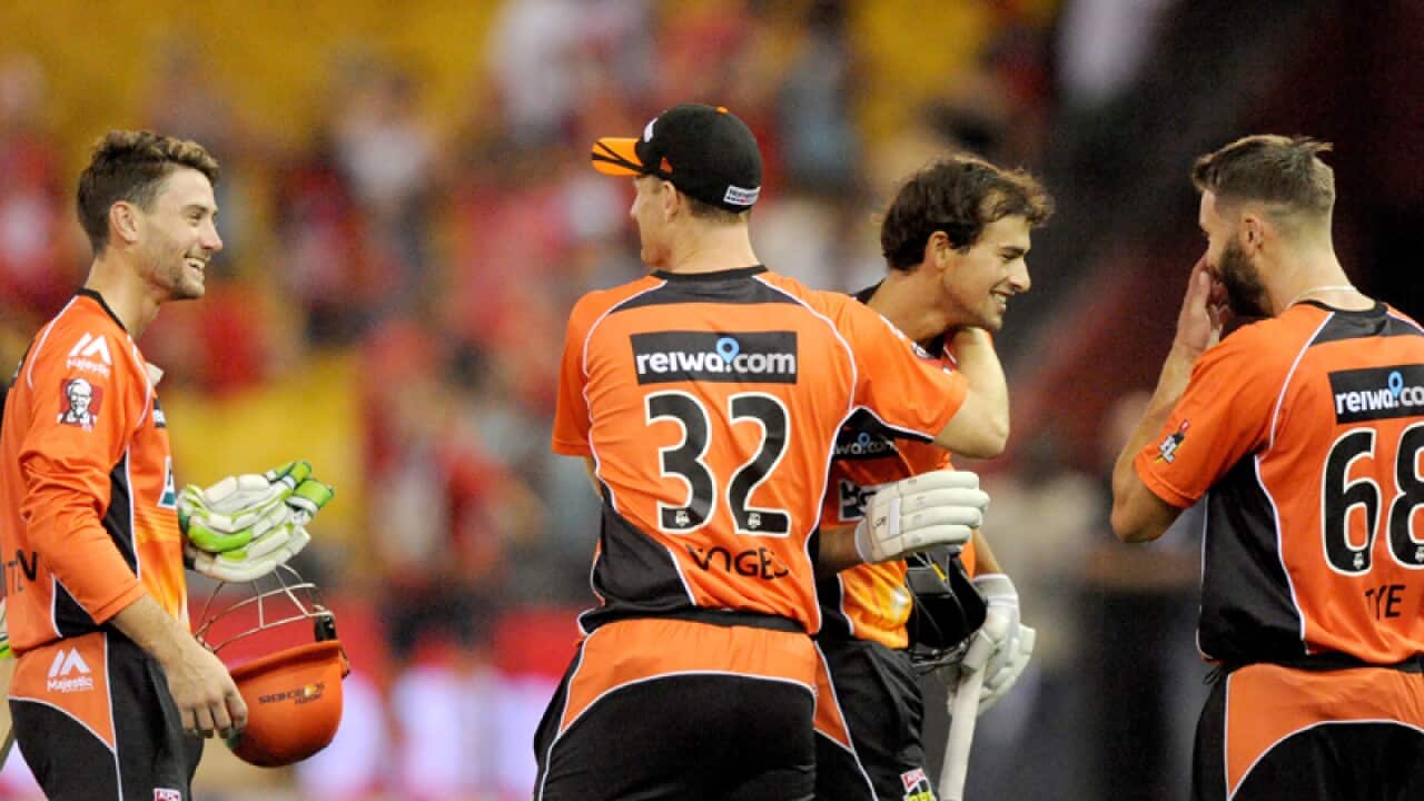 Perth Scorchers players congratulate Sam Whiteman (L) and Ashton Agar
