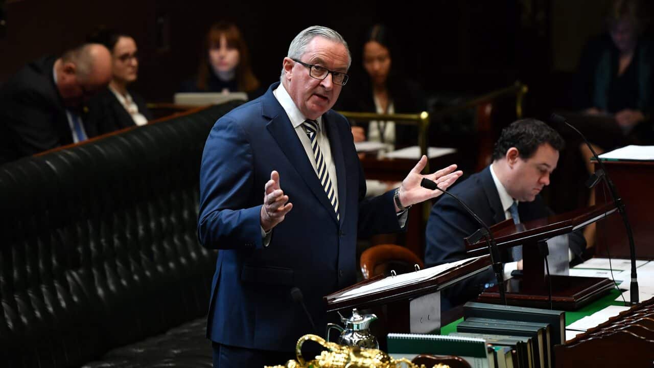 NSW Minister for Health and Medical Research Brad Hazzard speaks during debate.