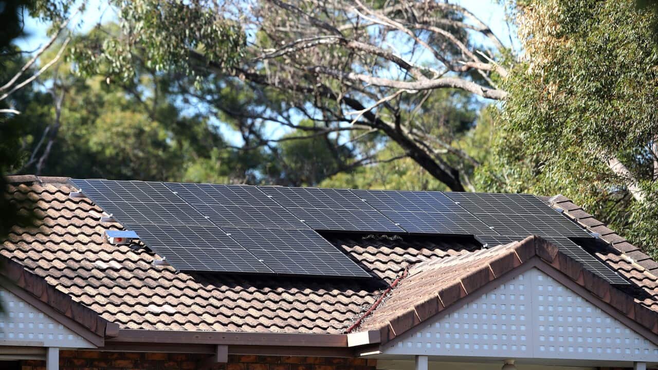 ELECTRICITY STOCK QUEENSLAND