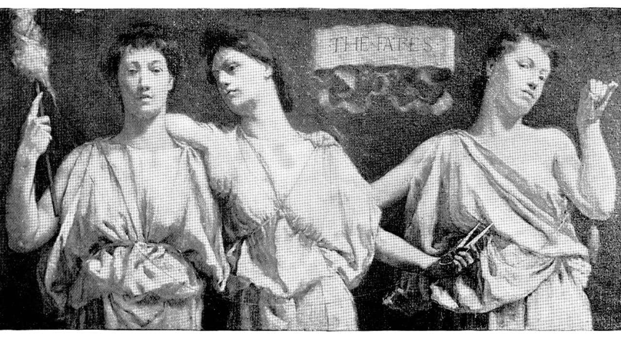 Image for read more article 'READ MORE'