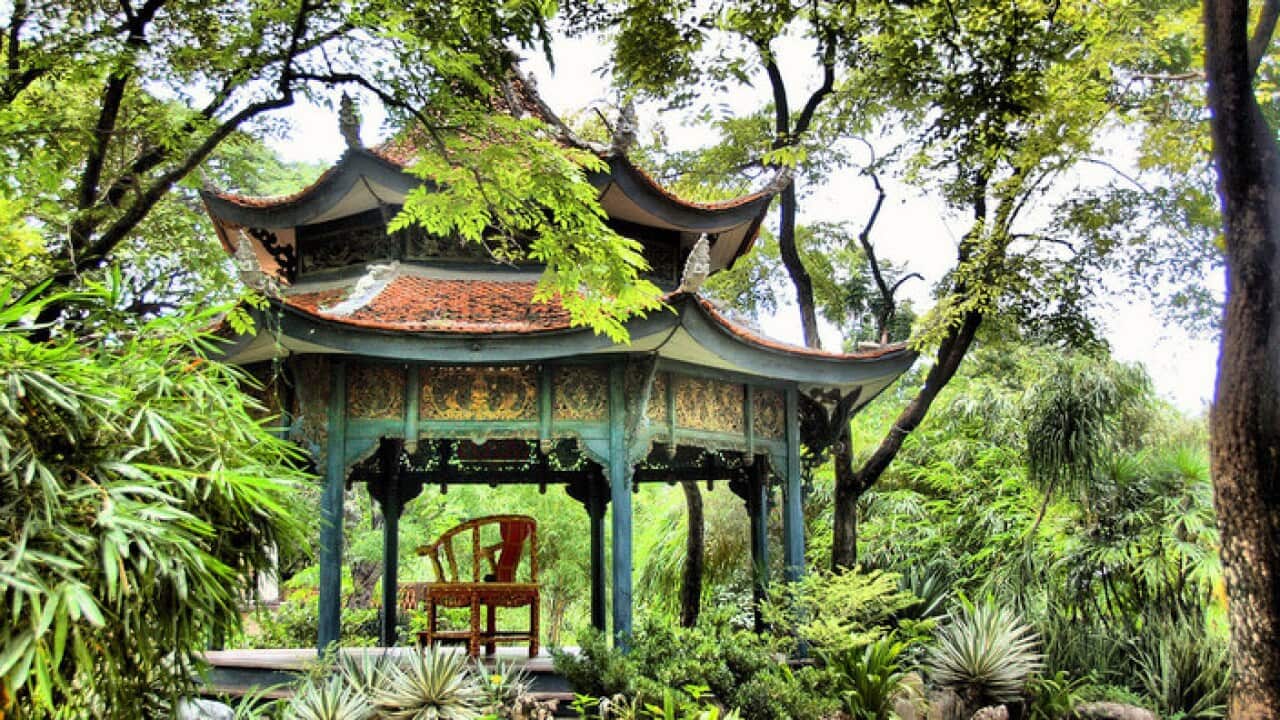 Palace Garden
