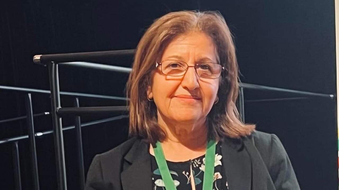 shmoni youna latest final.jpg