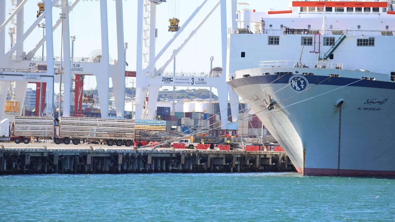 A file photo of the Al Messilah live exports ship.