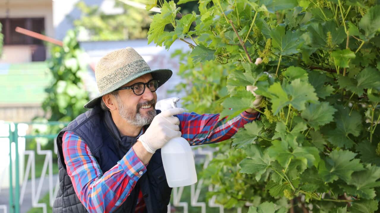 Image for read more article 'READ MORE'