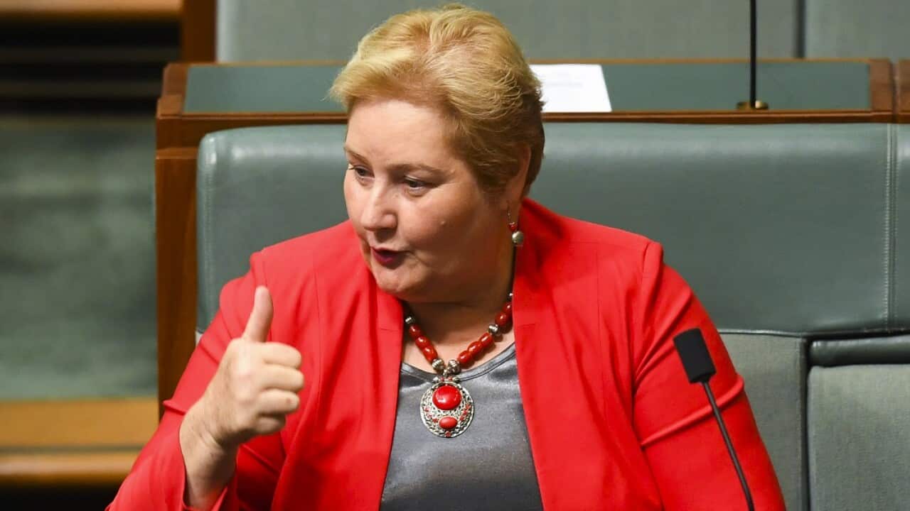 Liberal Member for Gilmore Ann Sudmalis launched a scathing attack on a fellow party members as she outlined the reason for quitting politics.