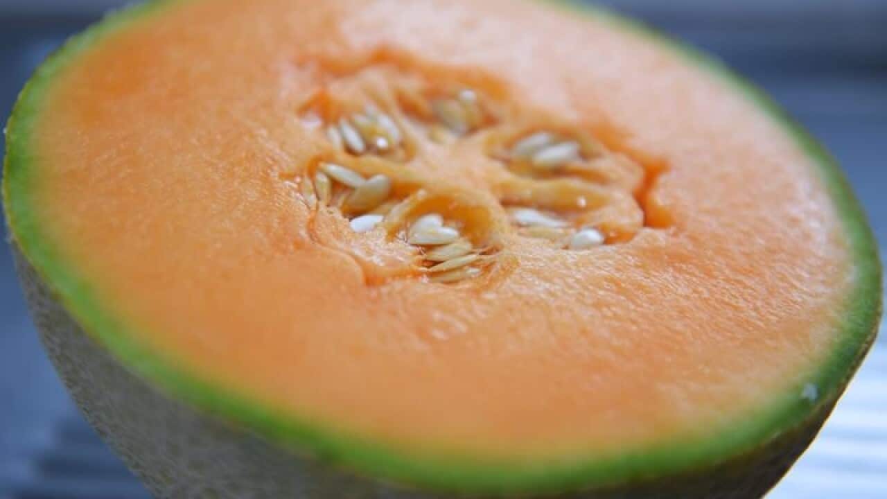 A file image of a rockmelon on a kitchen bench in Sydney.