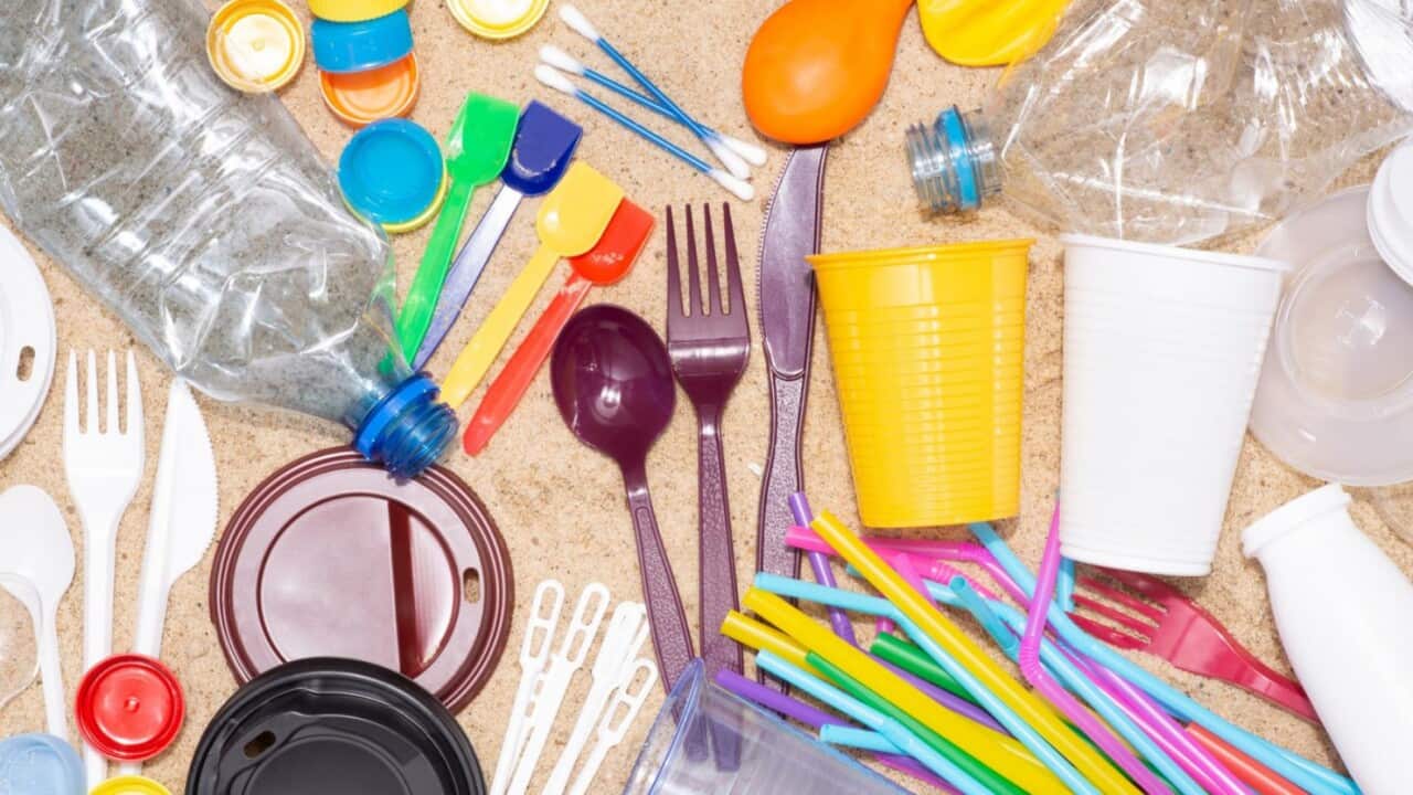 do nhua dung mot lan.jpg