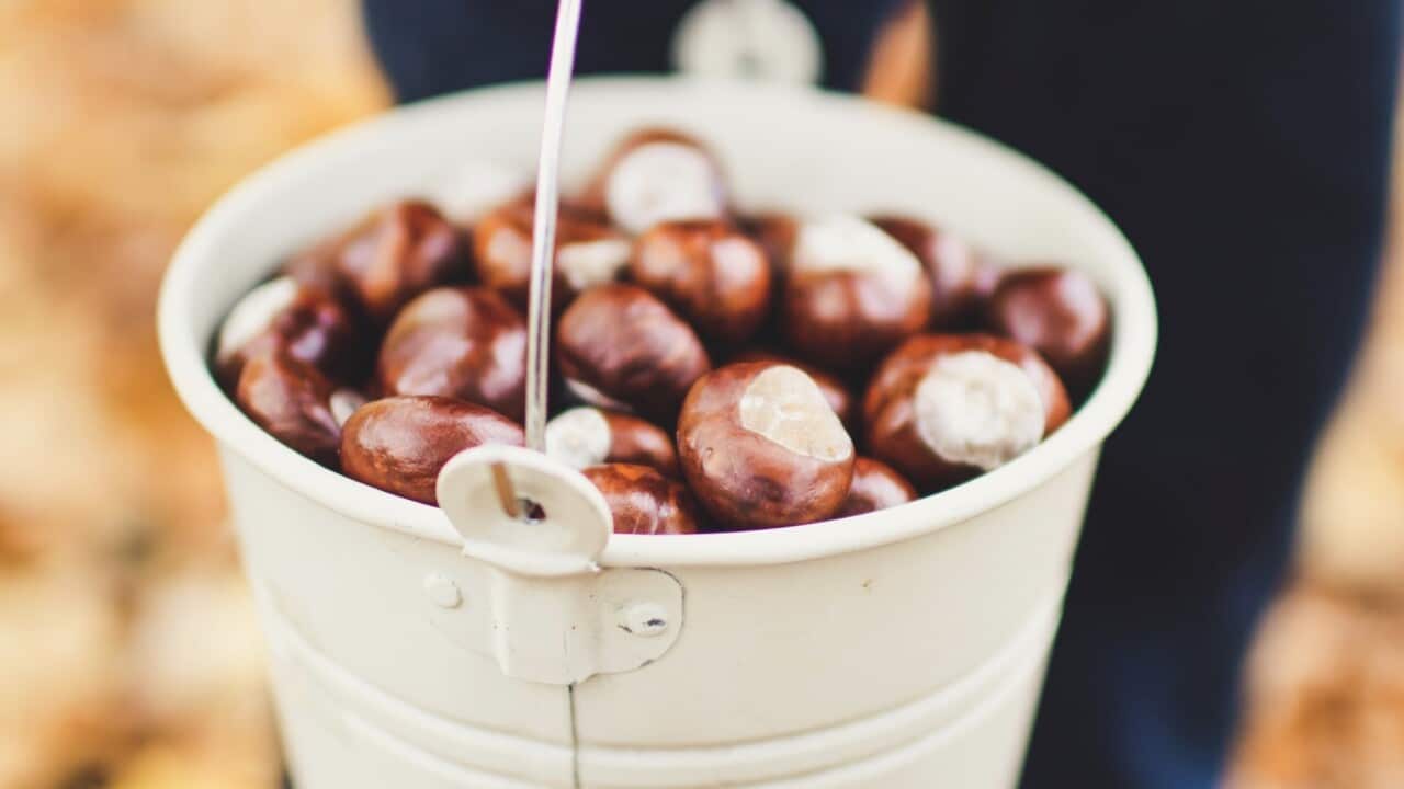 Image for read more article 'READ MORE'