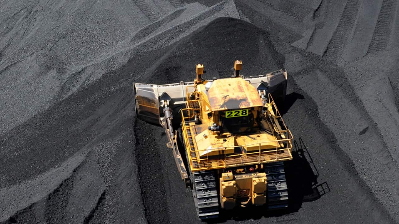 Coal is stockpiled