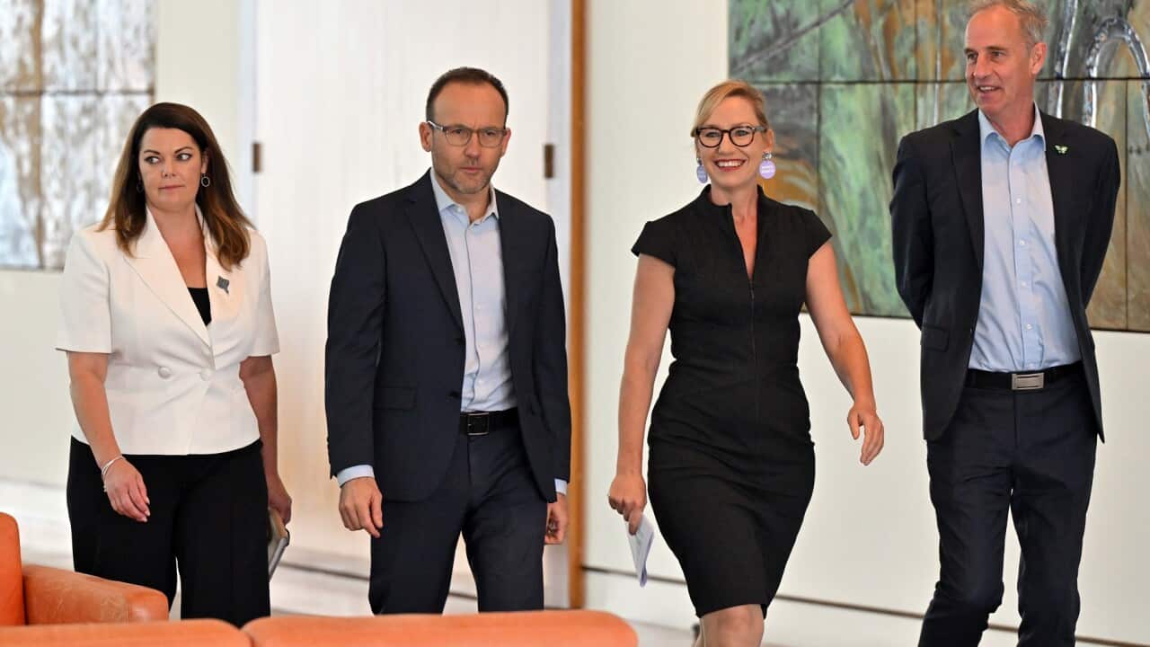 ADAM BANDT GREENS PRESSER