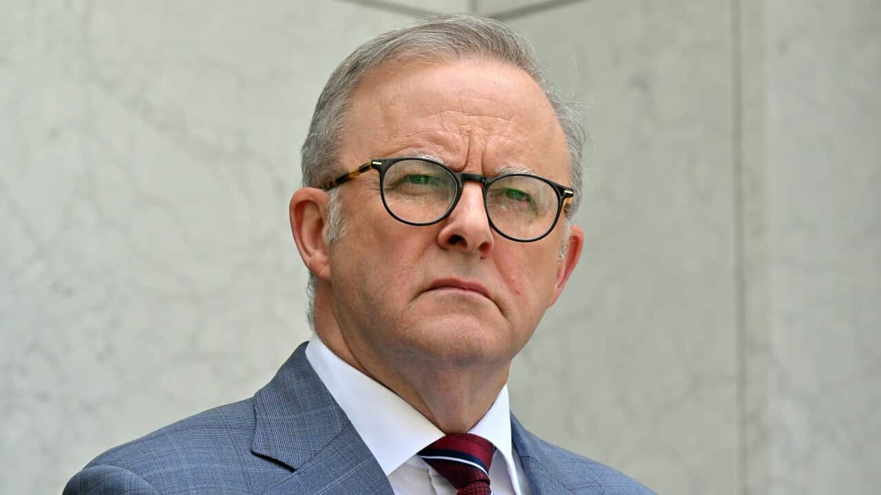 Anthony Albanese wearing a suit and glasses.