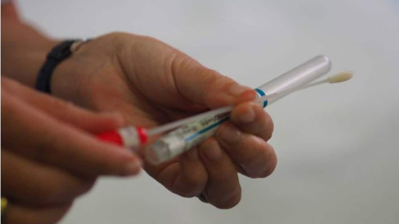 Realizarse la auto-recolección de células del cuello uterino es tan fácil como ponerse un tampón.