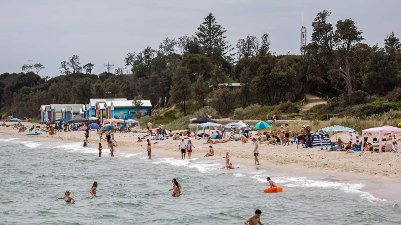 People flock Dromana Beach in Melbourne, Australia - 23 Nov 2024