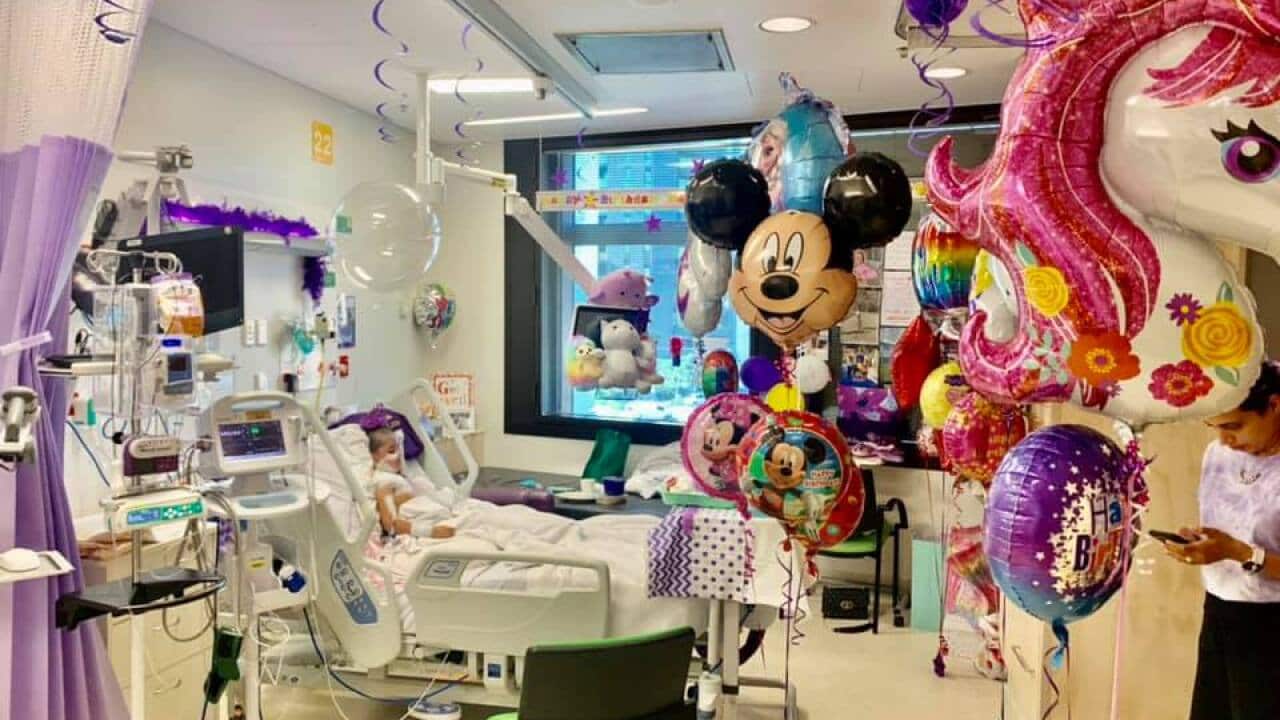 Kookie was admitted at Brisbane’s Queensland Children's Hospital.