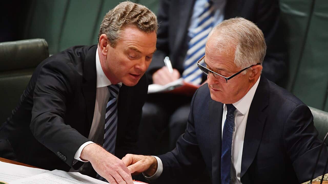Pyne
