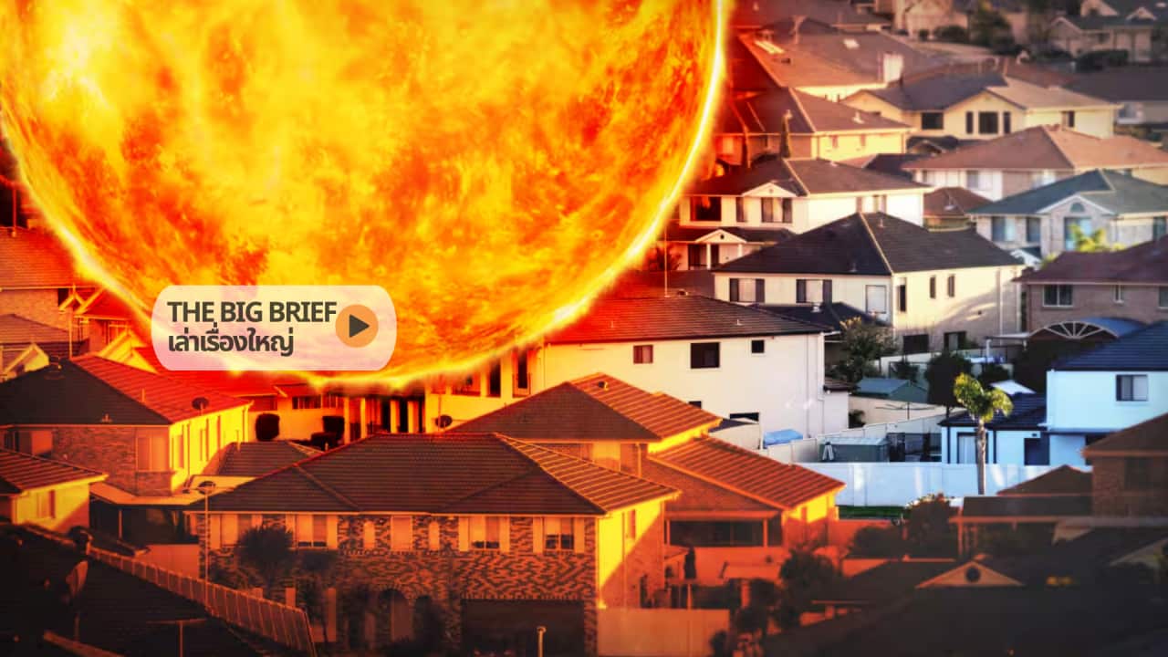 The Big Brief HEADER .png