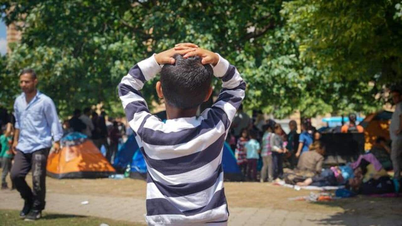 Migrants
