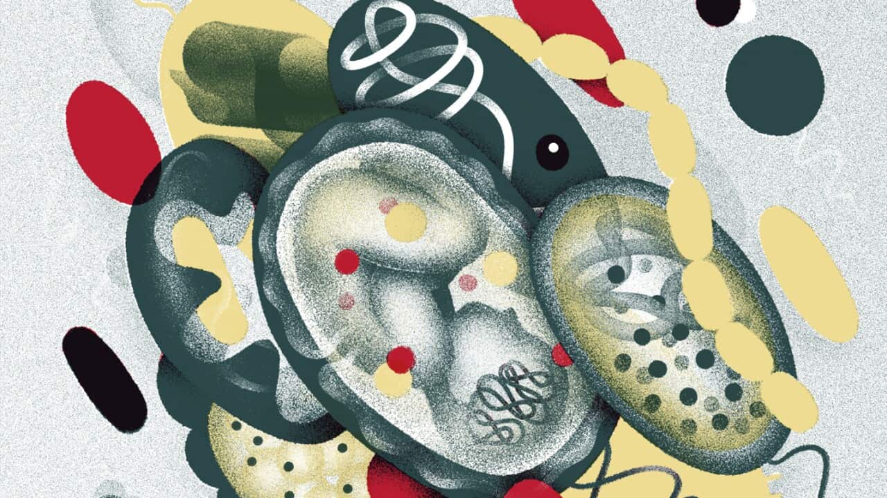 The bodys microbial community may influence the brain and behavior, perhaps even playing a role in dementia, autism and other disorders.