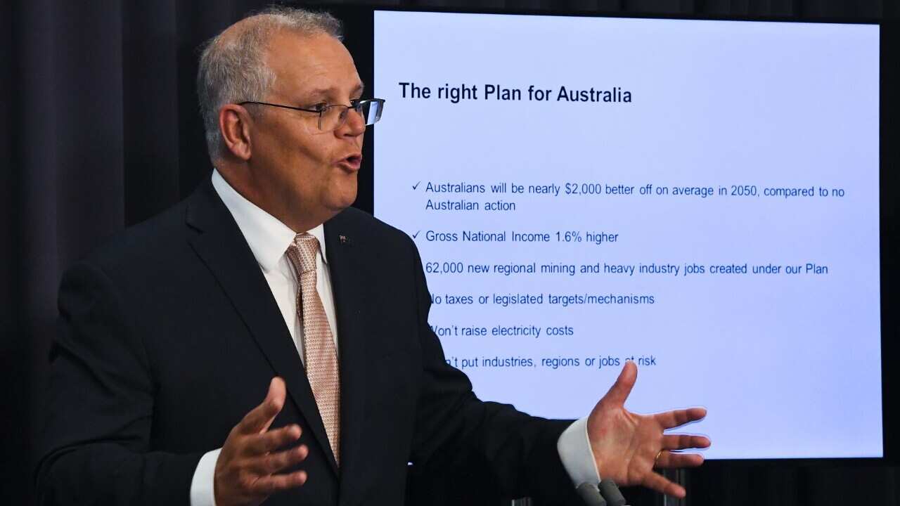 Başbakan Scott Morrison