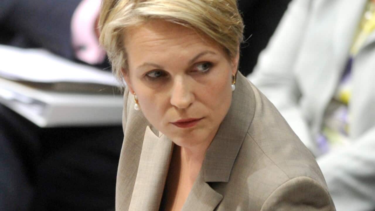 Tanya Plibersek.