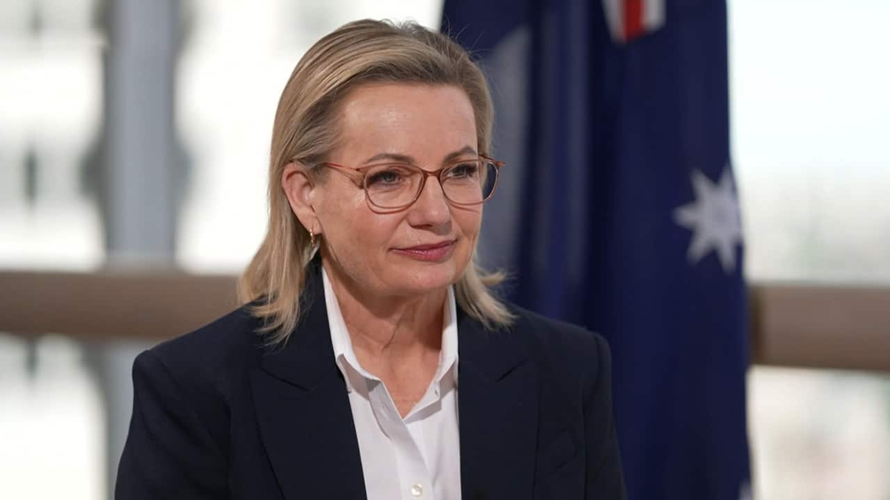 Opposition leader Sussan Ley speaking during an interview.