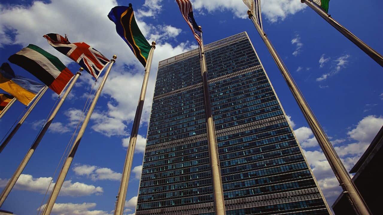 Flags fly outside the General Secretariat Building at the United Nations Headquarters.