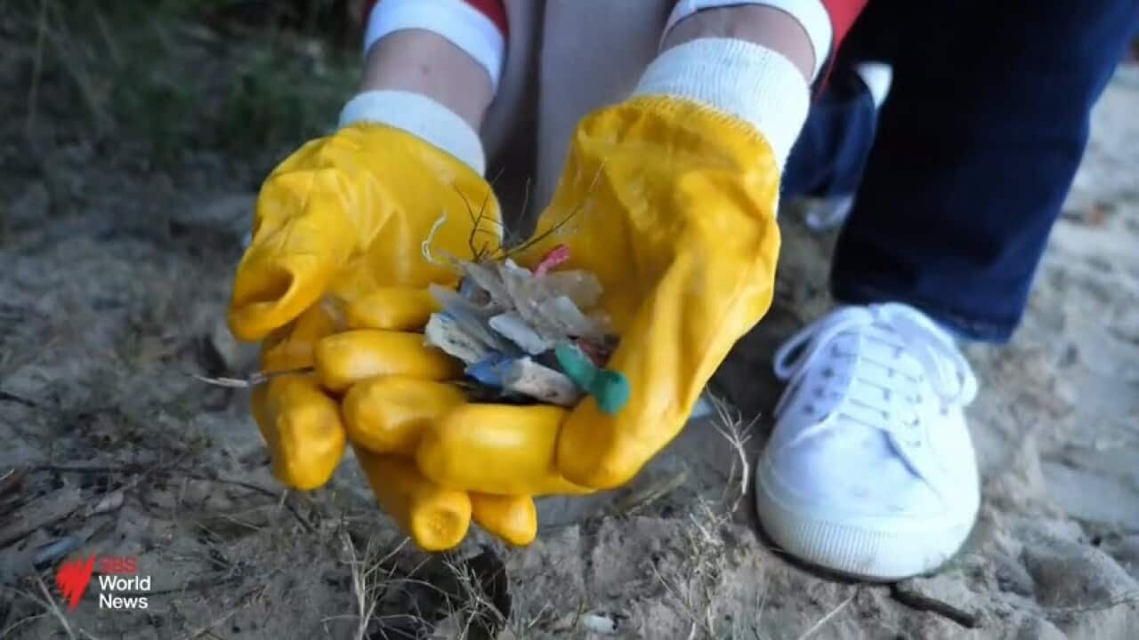 Image for read more article 'READ MORE'