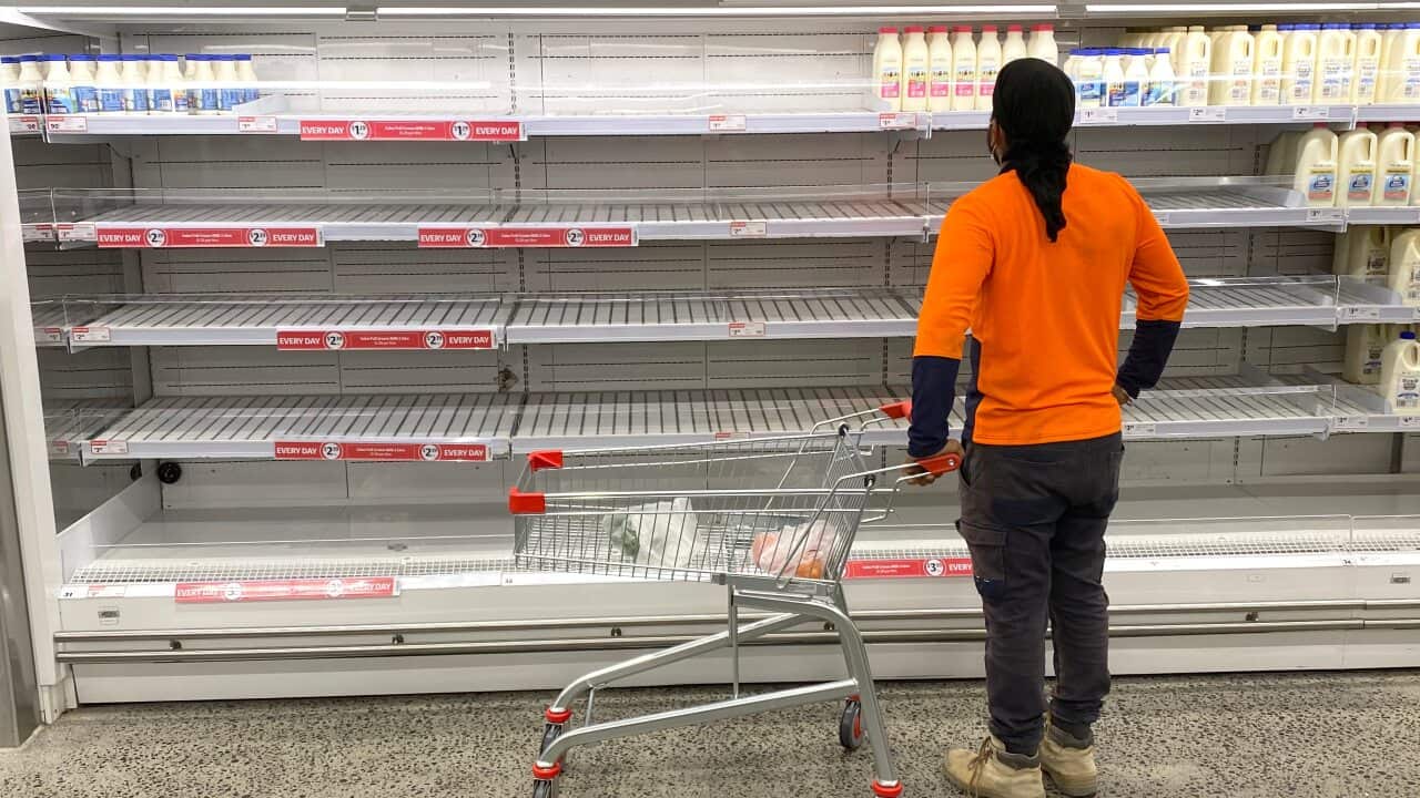 A shopper is seen looking at the empty shelves inside the Coles Supermarket at Kedron in Brisbane on 8 January, 2021.
