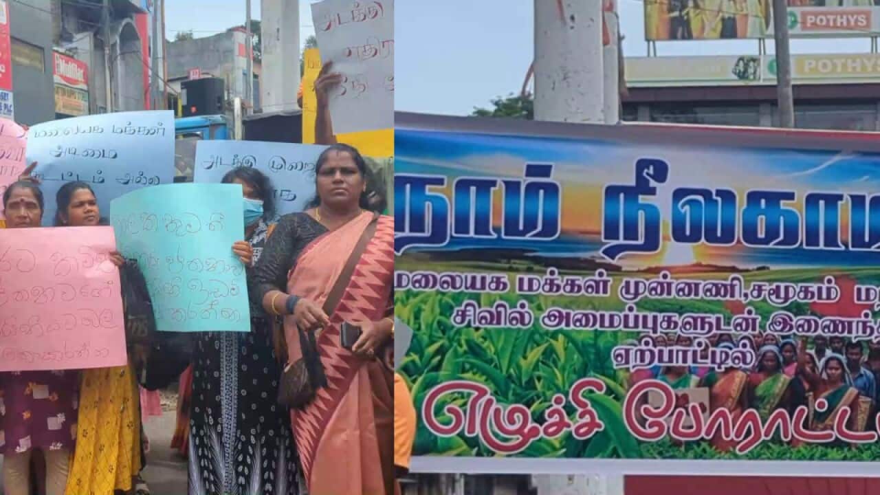 Sri Lanka Report.jpg