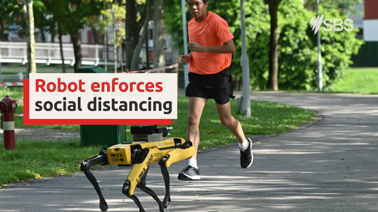 Singapore robot