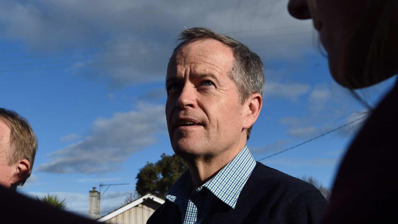 Leader of the Opposition Bill Shorten