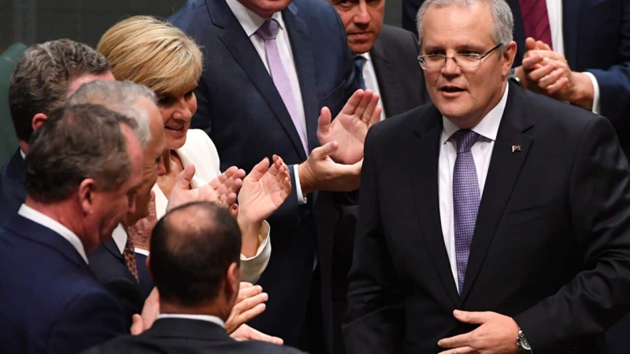 The Government frontbench applaud Treasurer Scott Morrison