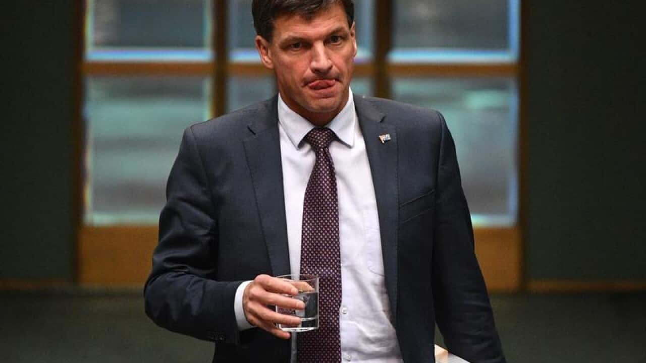 Energy Minister Angus Taylor
