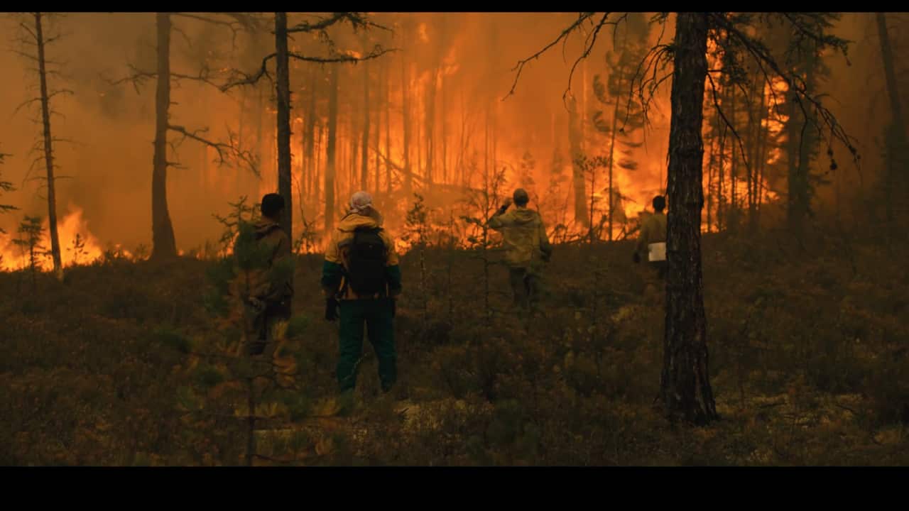 Image for read more article 'READ MORE'