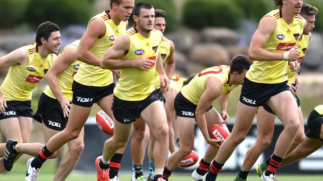 Essendon players during a pre-season training session