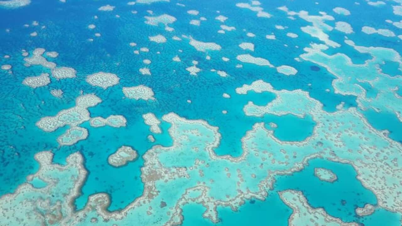 The Great Barrier Reef as viewed from above, in 2016.